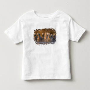 T-shirt Pour Les Tous Petits France, Provence. Chevaux blancs de Camargue