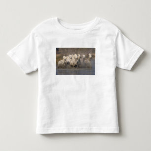 T-shirt Pour Les Tous Petits France, Provence. Chevaux blancs de Camargue en co