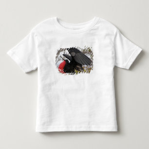 T-shirt Pour Les Tous Petits Frégate superbe