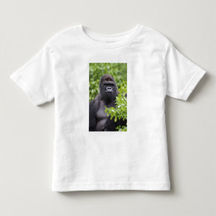 T-shirt Pour Les Tous Petits Gorille des plaines à dos argenté, Gorilla gorilla