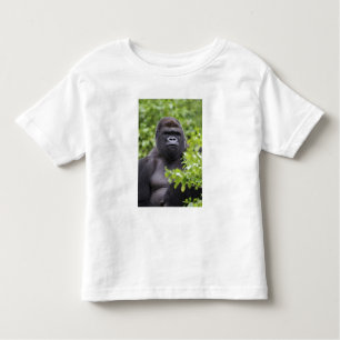 T-shirt Pour Les Tous Petits Gorille des terres basses de Silverback, Gorilla g