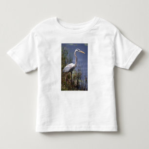 T-shirt Pour Les Tous Petits Grand Héron bleu oiseau aquatique