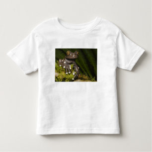 T-shirt Pour Les Tous Petits Grenouille captive Tapichalaca Hyloscirtus 3