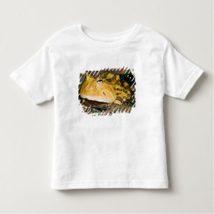 T-shirt Pour Les Tous Petits Grenouille corne brésilienne, Ceratophrys cornuta,