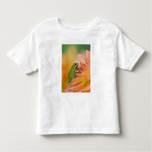T-shirt Pour Les Tous Petits Grenouille du Pacifique sur les fleurs dans notre 