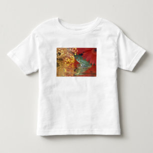 T-shirt Pour Les Tous Petits Grenouille et reflets parmi les fleurs. Crédit :