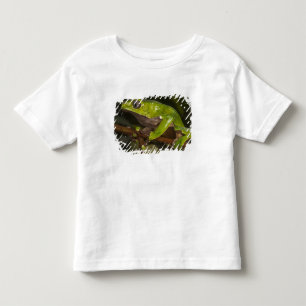 T-shirt Pour Les Tous Petits Grenouille géante à feuilles (Phyllomedusa bicolor