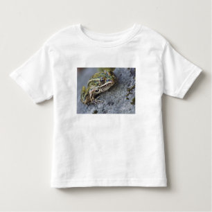 T-shirt Pour Les Tous Petits grenouille léopard du Nord, île de la voie maritim
