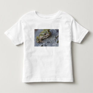 T-shirt Pour Les Tous Petits Grenouille léopard du nord, Île transparente,