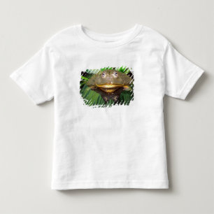T-shirt Pour Les Tous Petits Grenouille-taureau africaine, Pyxicephalus 2