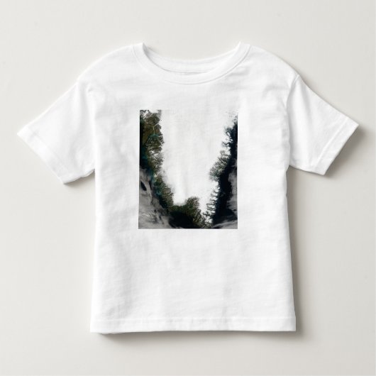 T-shirt Pour Les Tous Petits Groenland du Sud (Devant)