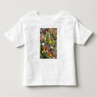 Groupes de tulipes colorées
