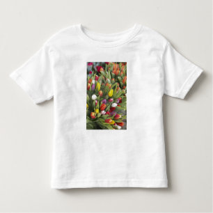 T-shirt Pour Les Tous Petits Groupes de tulipes colorées