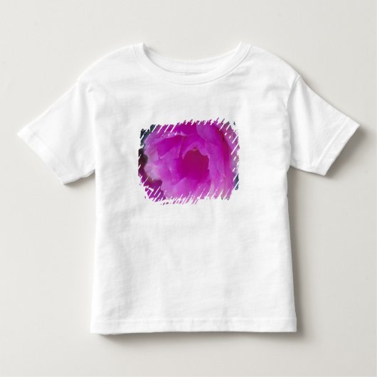T-shirt Pour Les Tous Petits Hérisson rose Cactus fleurit (Devant)