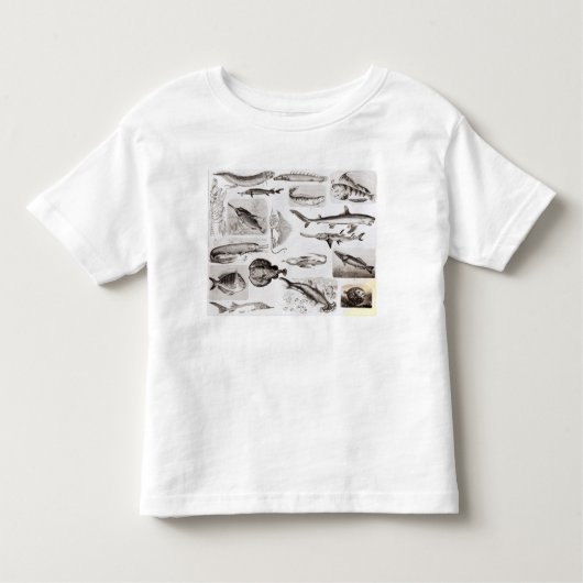 T-shirt Pour Les Tous Petits Ichtyologie Elasmobranch, Ganoid (Devant)