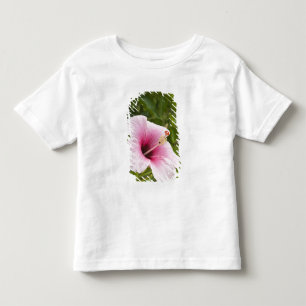 T-shirt Pour Les Tous Petits Îles Cook, Atiu. Fleur d'hibiscus.