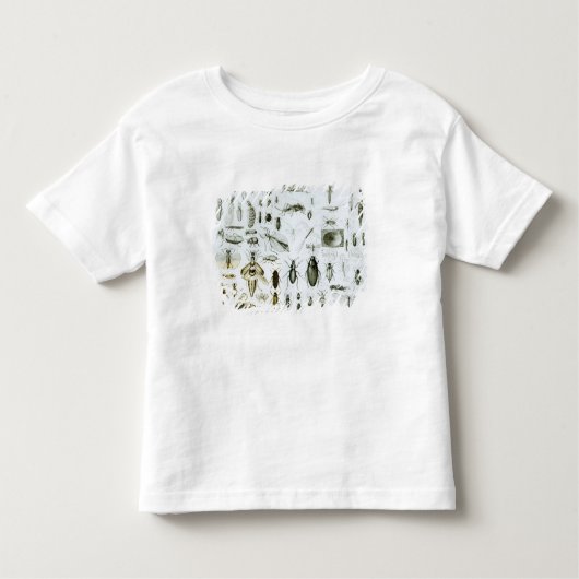 T-shirt Pour Les Tous Petits Insectes d'entomologie (Devant)