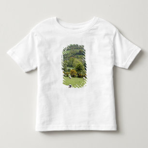 T-shirt Pour Les Tous Petits Irlande de l'Ouest, péninsule de Dingle, large