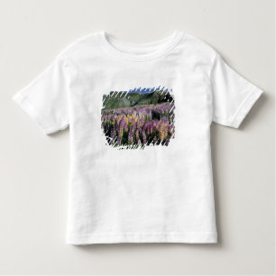 T-shirt Pour Les Tous Petits JARBIDGE WILDERNESS, NEVADA. USA. Lupine d'épi