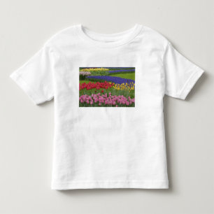 T-shirt Pour Les Tous Petits Jardin de tulipes, de muscaris et