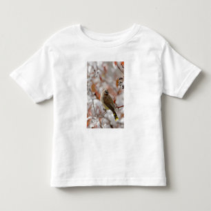 T-shirt Pour Les Tous Petits Jaseur d'Amérique adulte sur aubépine avec neige,