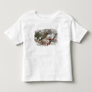 T-shirt Pour Les Tous Petits Jaseur d'Amérique adulte sur un aubépine avec de l