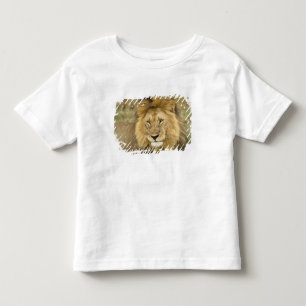 T-shirt Pour Les Tous Petits Kenya Masai Mara