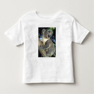 T-shirt Pour Les Tous Petits Koala, Phascolarctos cinereus), Australie,