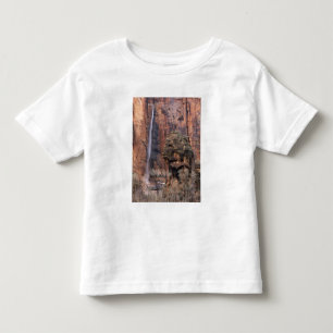 T-shirt Pour Les Tous Petits La chaire et la cascade éphémère