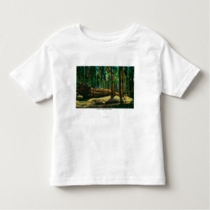 T-shirt Pour Les Tous Petits La forêt géante d'ouverture automatique, séquoias