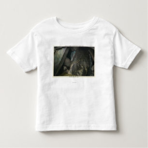 T-shirt Pour Les Tous Petits La moitié cachée tombe vue de jugement Hall de