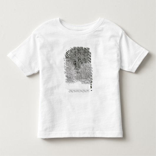 T-shirt Pour Les Tous Petits La neige a couvert le paysage (Devant)