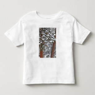 T-shirt Pour Les Tous Petits La neige remplit les branches des pins ponderosa