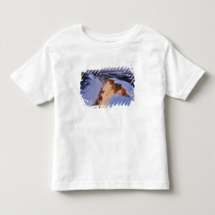 T-shirt Pour Les Tous Petits La rivière Little Missouri en hiver à