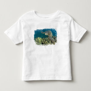 T-shirt Pour Les Tous Petits La tortue verte, (Chelonia mydas), est le