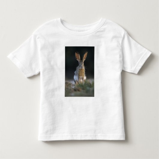 T-shirt Pour Les Tous Petits Lapin à queue noire, Lepus californicus, 2 (Devant)