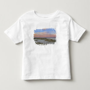 T-shirt Pour Les Tous Petits Le brouillard de la rivière Little Missouri pend 