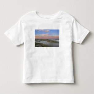 T-shirt Pour Les Tous Petits Le brouillard de la rivière Little Missouri pend 