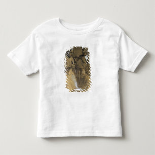 T-shirt Pour Les Tous Petits Le Compteur-Charme par l'image