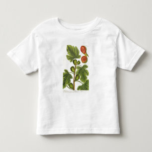 T-shirt Pour Les Tous Petits Le figuier, plaquent 125 "d'un de fines herbes