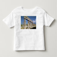 Le temple d'Apollo