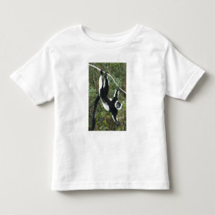 T-shirt Pour Les Tous Petits Lémur varié noir et blanc, (Varecia