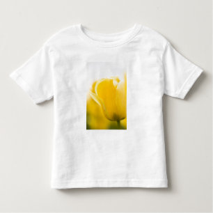T-shirt Pour Les Tous Petits Les champs de tulipes de Mt. Vernon, comté de Skag