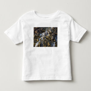 T-shirt Pour Les Tous Petits Les chutes de saumure de la roche volcanique