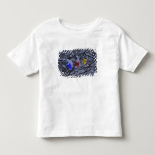T-shirt Pour Les Tous Petits Les Etats-Unis, Nouvelle Angleterre, le