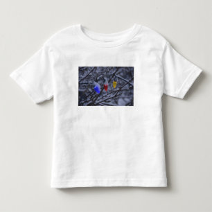 T-shirt Pour Les Tous Petits Les Etats-Unis, Nouvelle Angleterre, le