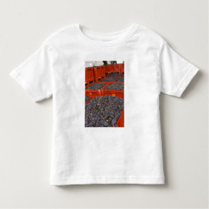 T-shirt Pour Les Tous Petits Les raisins de Gamay, à partir de la récolte