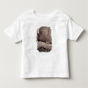T-shirt Pour Les Tous Petits Les ruines antiques du Canyon de Chelle, 1873 (a