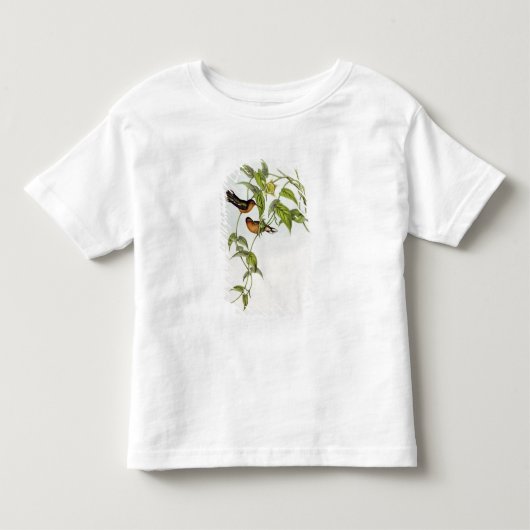 T-shirt Pour Les Tous Petits Leucippus Fallax (Devant)