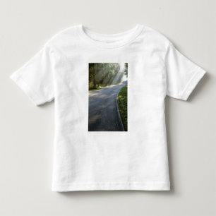 T-shirt Pour Les Tous Petits Lever de soleil à travers le brouillard le long de